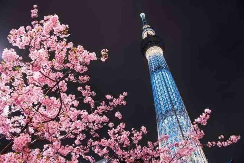 Luna House Asakusa Skytree * Prefektura Tokio